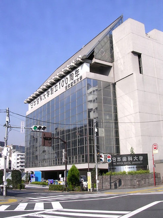 大学・短大　日本歯科大学（大学・短大）まで413m