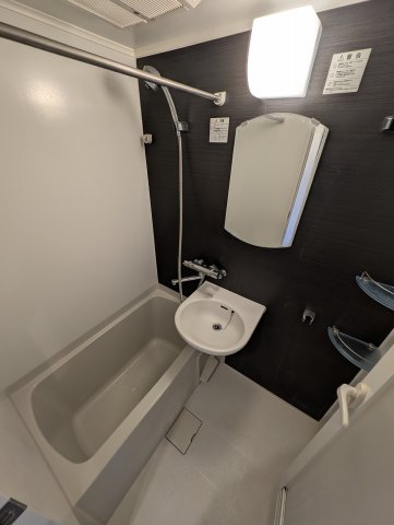 バス・シャワールーム　同タイプの反転タイプのお部屋の写真です。
