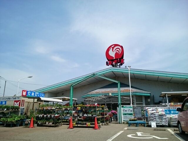 ホームセンター　コメリ 小池店（ホームセンター）まで1200m