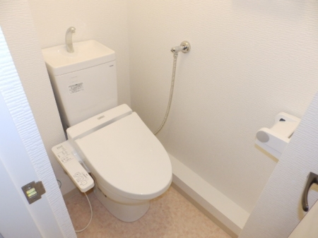 トイレ　トイレも気になるポイント