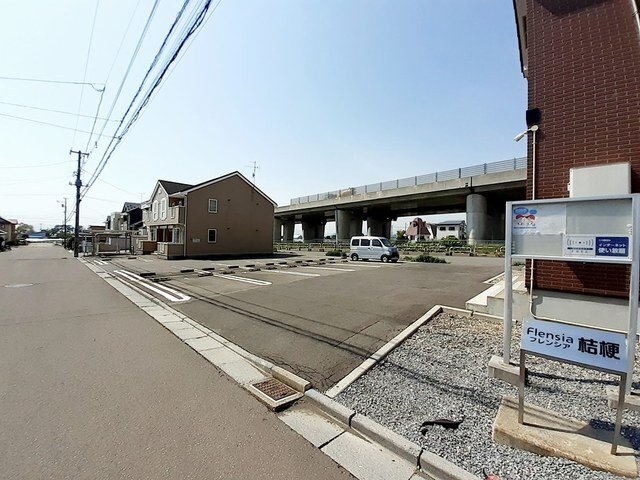 フレンシア桔梗のその他写真