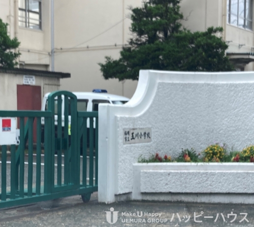 小学校　玉川小学校（小学校）まで541m