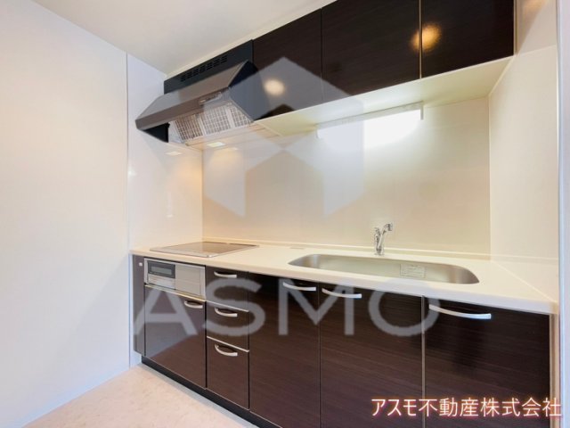 キッチン　同マンション別部屋　参考写真
