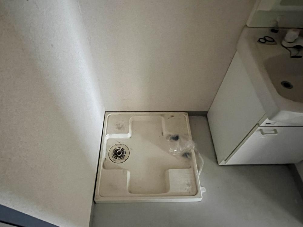ホワイトゼンのその他写真