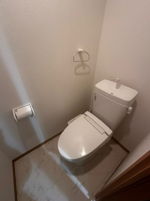 グリーンライン 高田駅 徒歩5分 3階建 築13年のトイレ写真