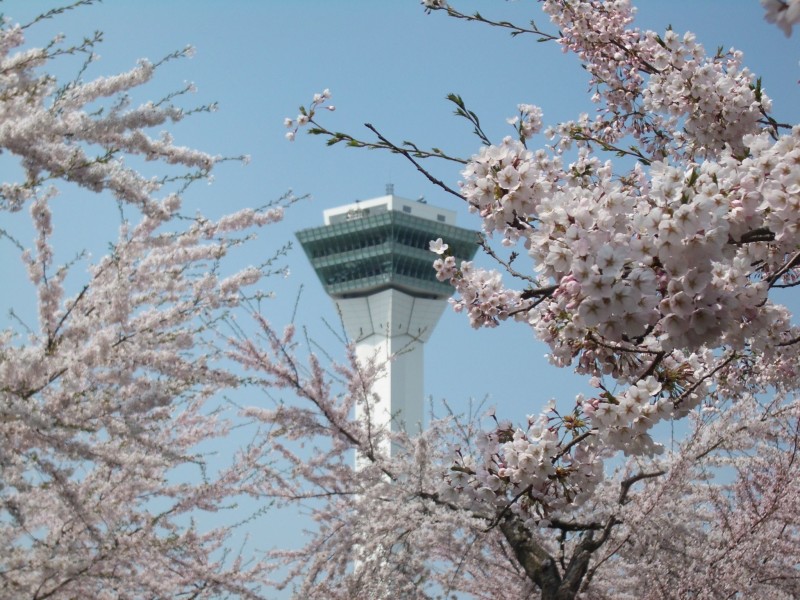 【函館市本町のマンションのその他】