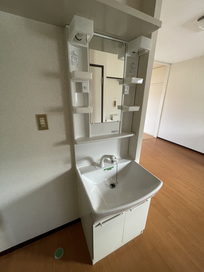 洗面設備　※別号室の写真です。