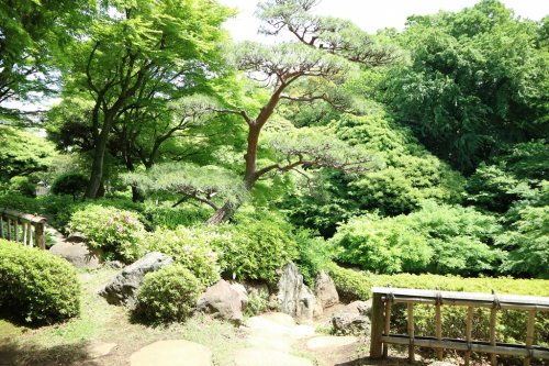 【パークアクシス池田山の公園】