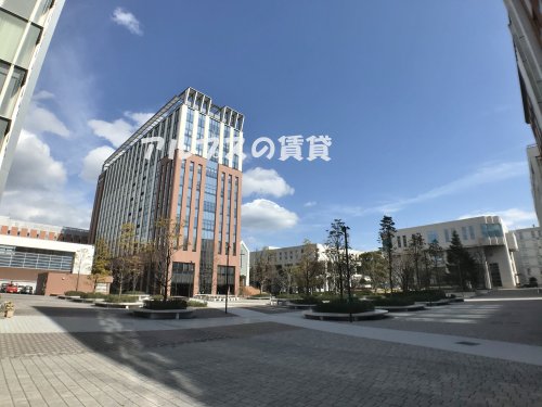 【横須賀市追浜本町のアパートの大学・短大】