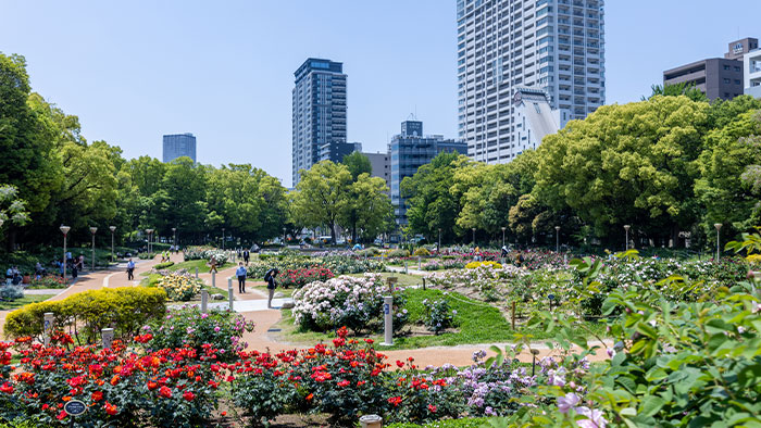 公園　靭公園（公園）まで120m