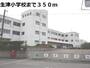 小学校　瑞穂市立生津小学校（小学校）まで350m