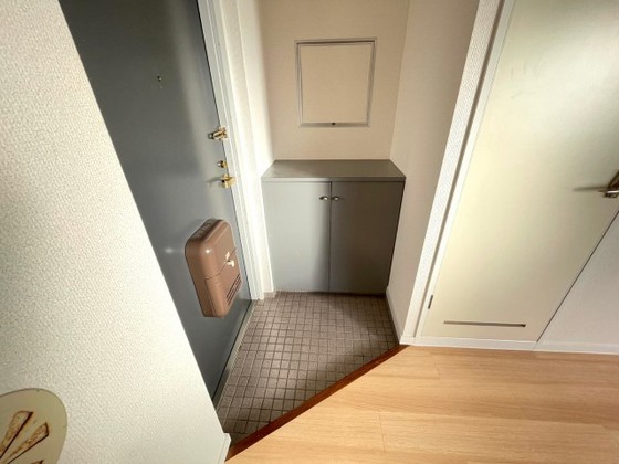 玄関　※他の号室の写真になります。