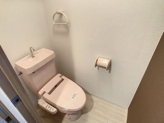 トイレ　※他号室の写真です