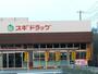 ドラックストア　スギドラッグ 安田諸口店（ドラッグストア）まで762m
