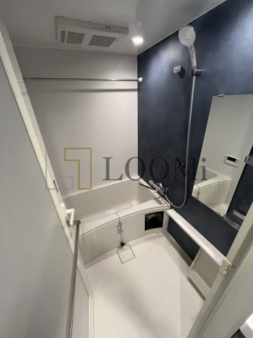 バス・シャワールーム　エスリードレジデンスザ・グラン南堀江　浴室