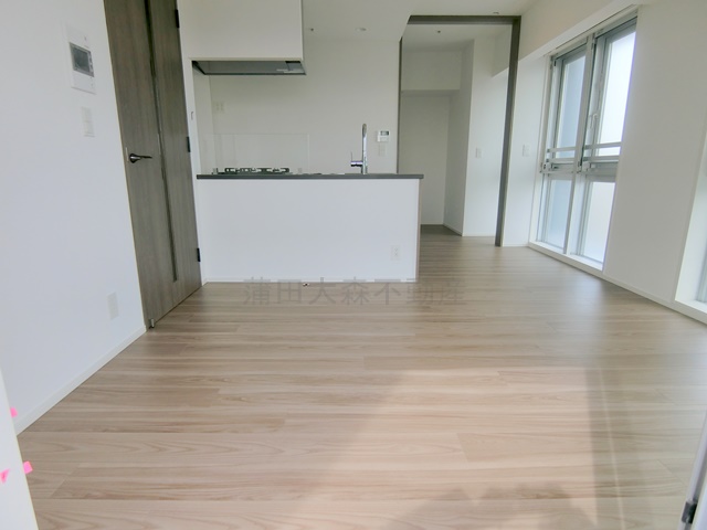 居室・リビング　LDK9.5帖　カウンターキッチンリビングダイニングキッチン