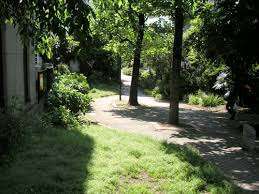 公園　北谷町緑道（公園）まで223m