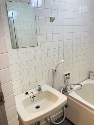 洗面設備　同タイプ別室の写真です。