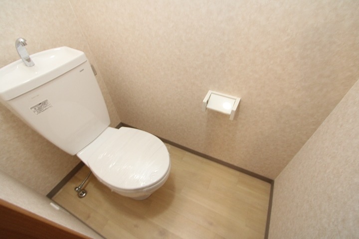 MAYUMIハウス385号 牧野下島町8丁目 貸家のトイレ写真