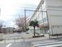 小学校　国立市立第三小学校（小学校）まで459m