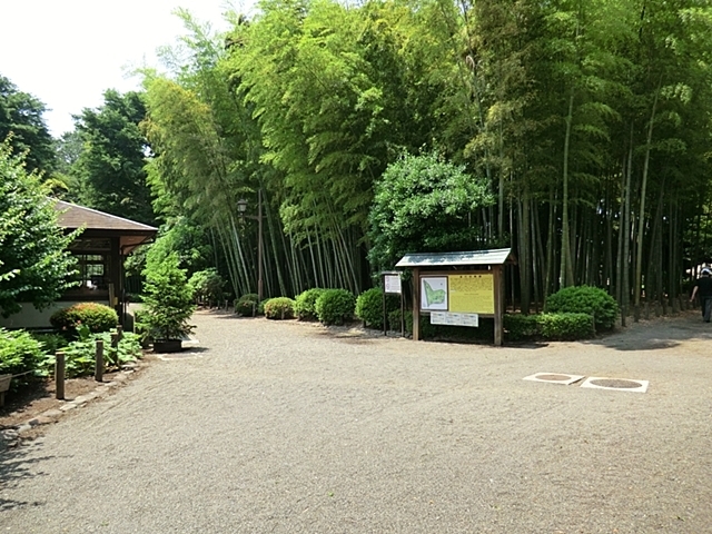 公園　蘆花恒春園（公園）まで505m
