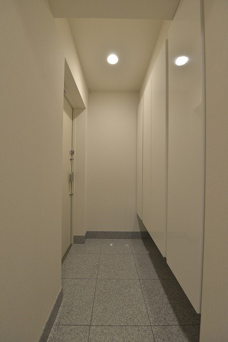 玄関　※カラータイプ異なります