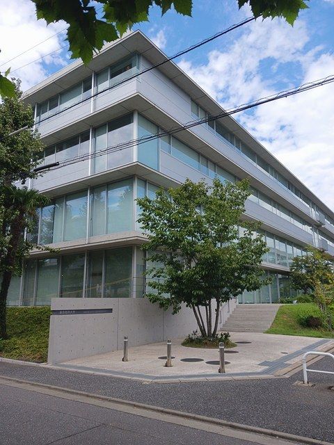 大学・短大　東京都市大学（大学・短大）まで300m