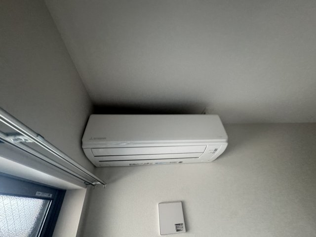 F asecia Pledgeのその他写真