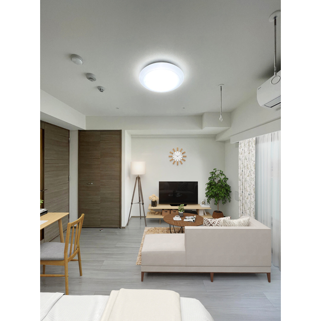 居室・リビング　家具・調度品等はＣＧ加工です。実際の賃貸住居には含まれません