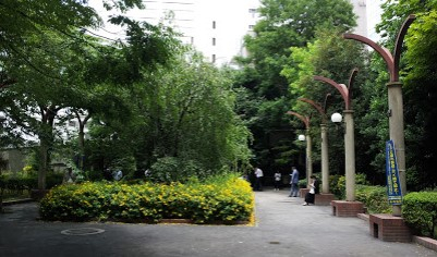 公園　水谷橋公園（公園）まで493m