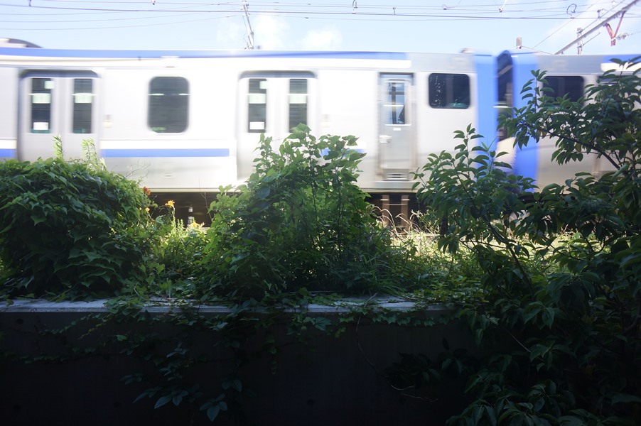 眺望　線路沿いなります！二重サッシ仕様！