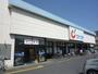 ドラックストア　カワチ薬品久喜店（ドラッグストア）まで876m