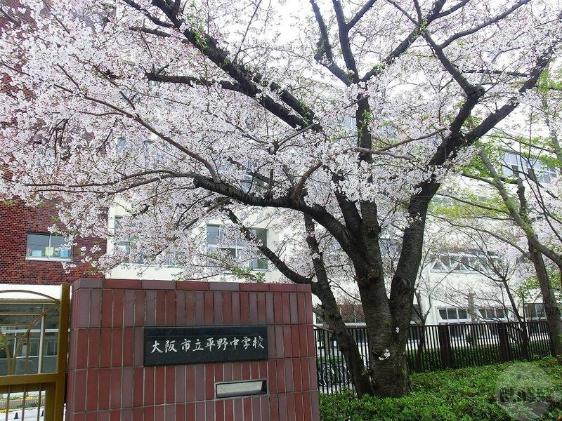 中学校　大阪市立平野中学校（中学校）まで385m