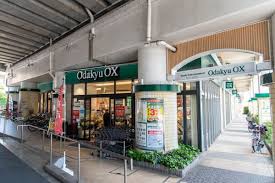スーパー　OdakyuOX千歳船橋店（スーパー）まで425m