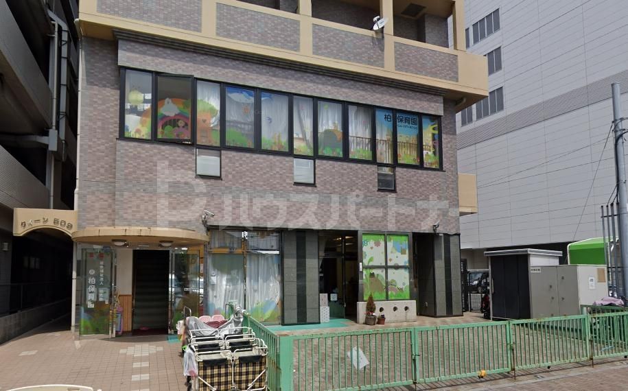 幼稚園・保育園　柏保育園（幼稚園・保育園）まで280m