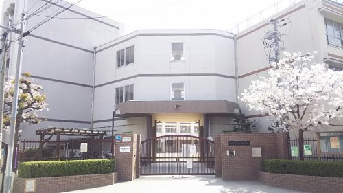 小学校　大開小学校（小学校）まで599m