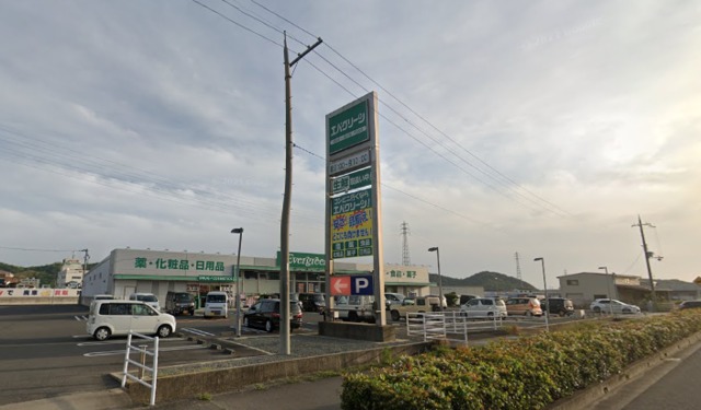 ドラックストア　エバグリーン和佐店（ドラッグストア）まで1869m