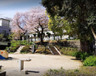 公園　和田さくらの坂公園（公園）まで525m