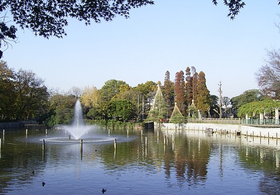 公園　碑文谷公園（公園）まで686m
