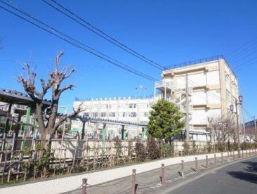 小学校　足立区立青井小学校（小学校）まで517m