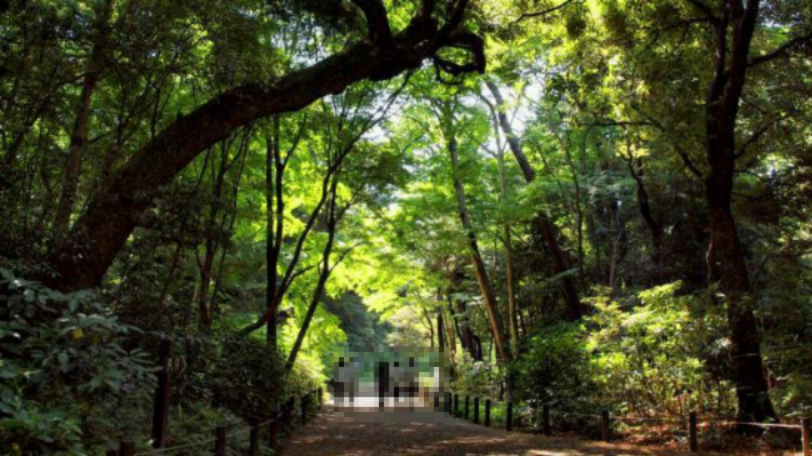公園　国立科学博物館附属自然教育園（公園）まで718m