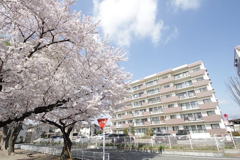 建物外観　春には桜の花が満開になります。