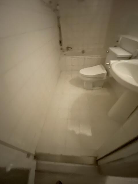 グリーンテラス元代々木のトイレ写真