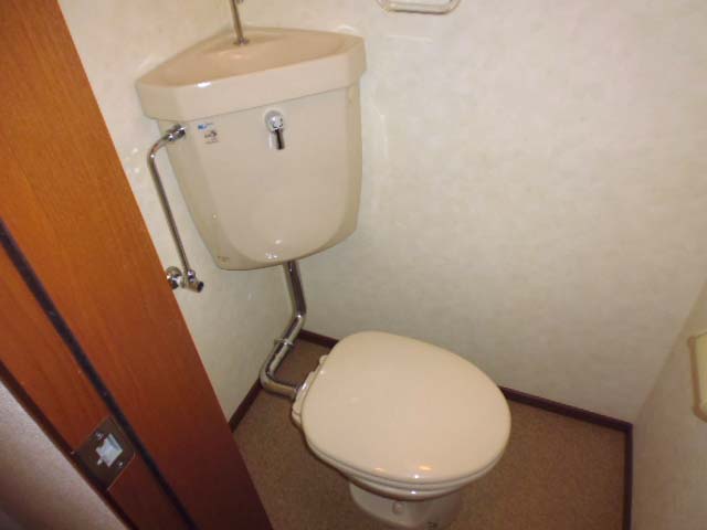 トレジャー高津のトイレ写真