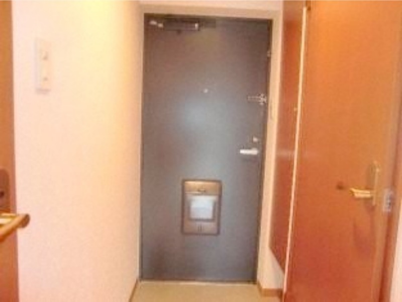 マンションむらかみ7の玄関写真