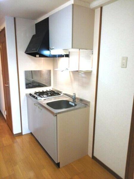 天然館ビル4のキッチン写真