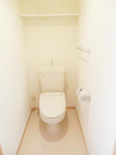 ルインズ・イン・マルヤマAのトイレ写真