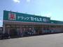 ドラックストア　セイムス谷塚店（ドラッグストア）まで800m