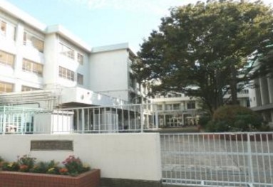 中学校　練馬区立関中学校（中学校）まで721m
