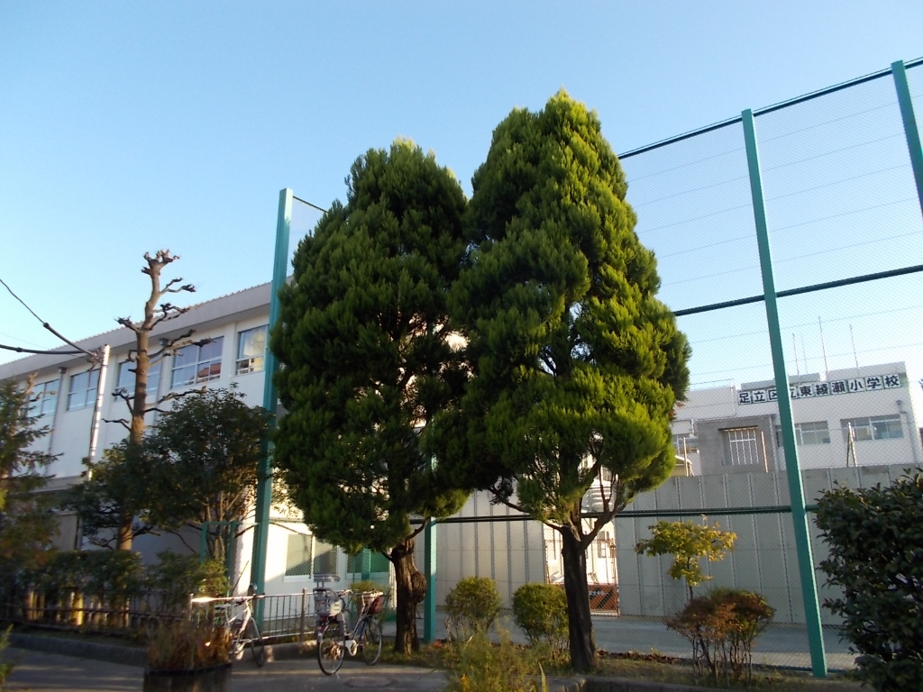 【大津屋スカイハイツの小学校】